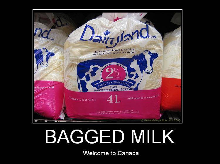 bagged-milk.jpg