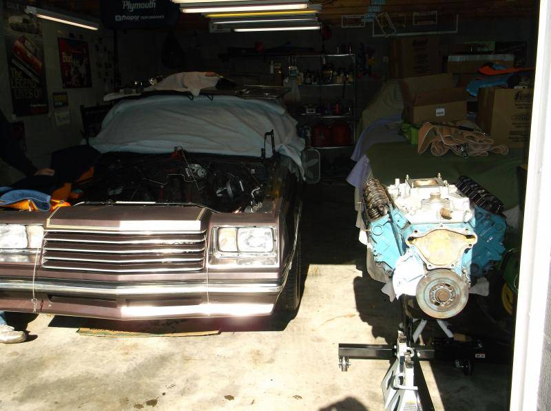 Picture 648.jpg