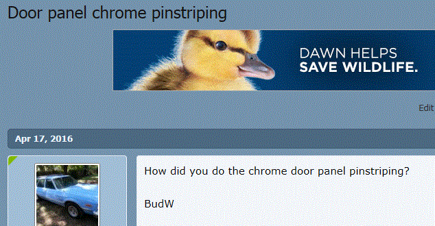 Pinstripping Q1.GIF