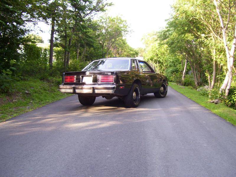 000_0400.jpg