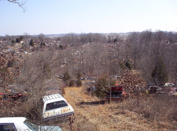 000_0509.jpg