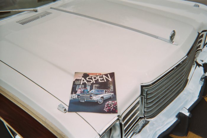 020_16A.JPG