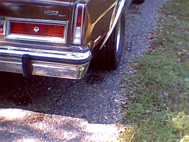 045.jpg