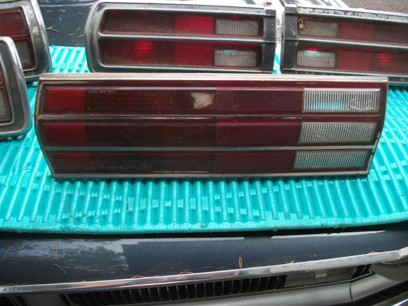 100_2494r.jpg