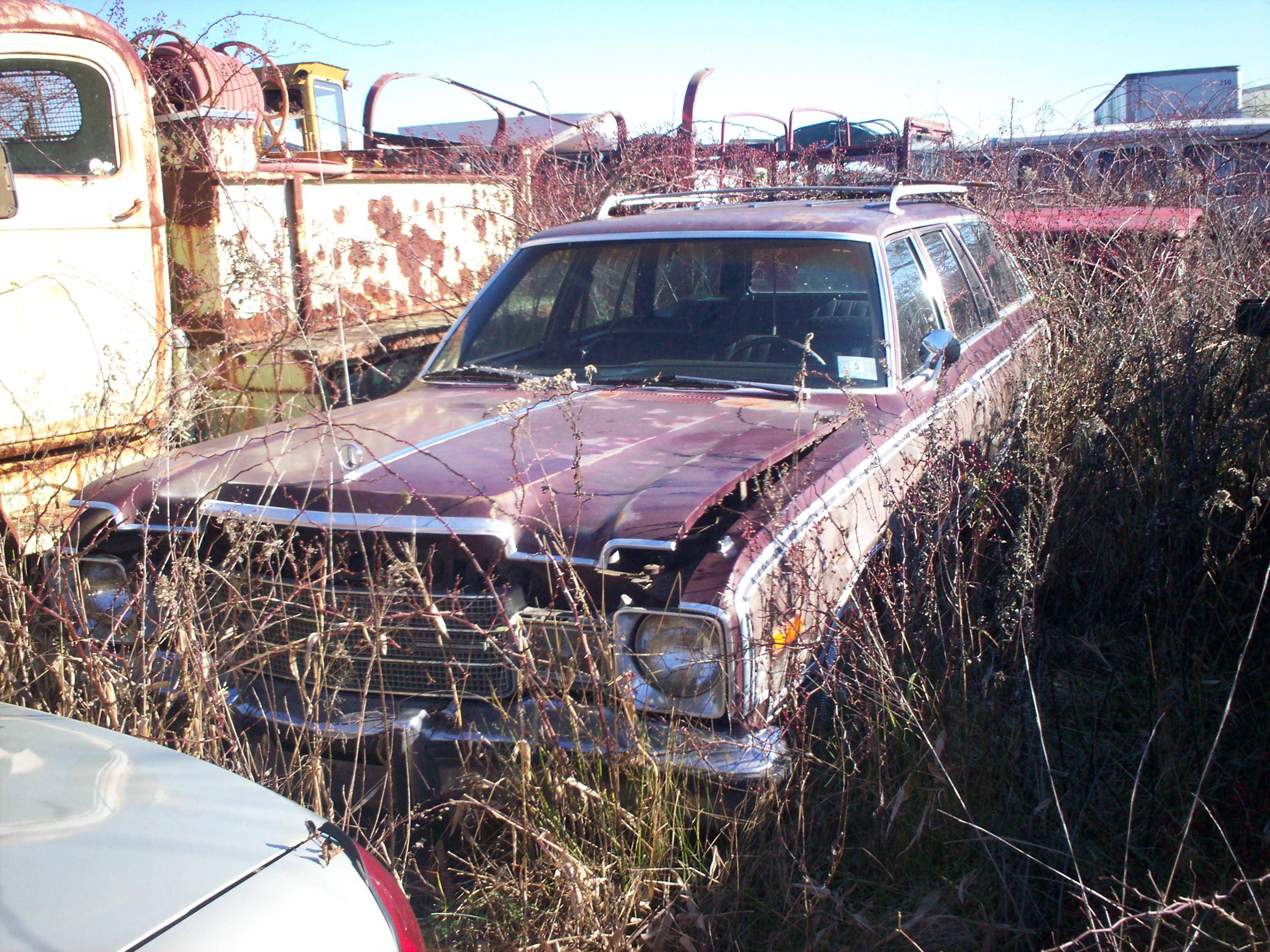 100_3812.JPG
