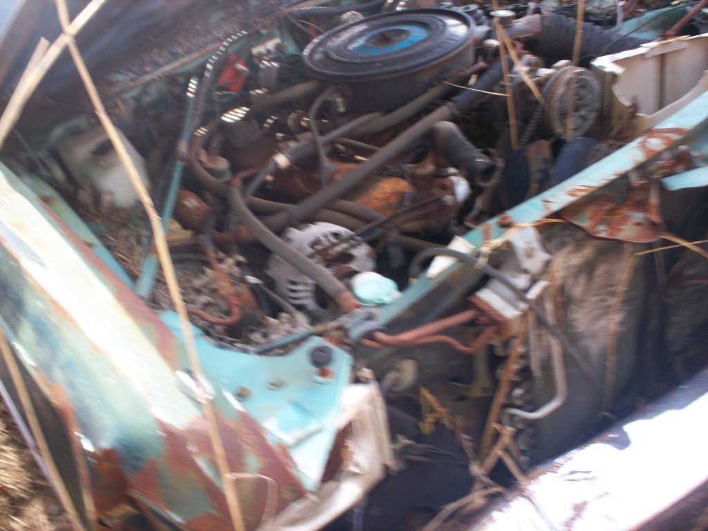 100_3941.JPG