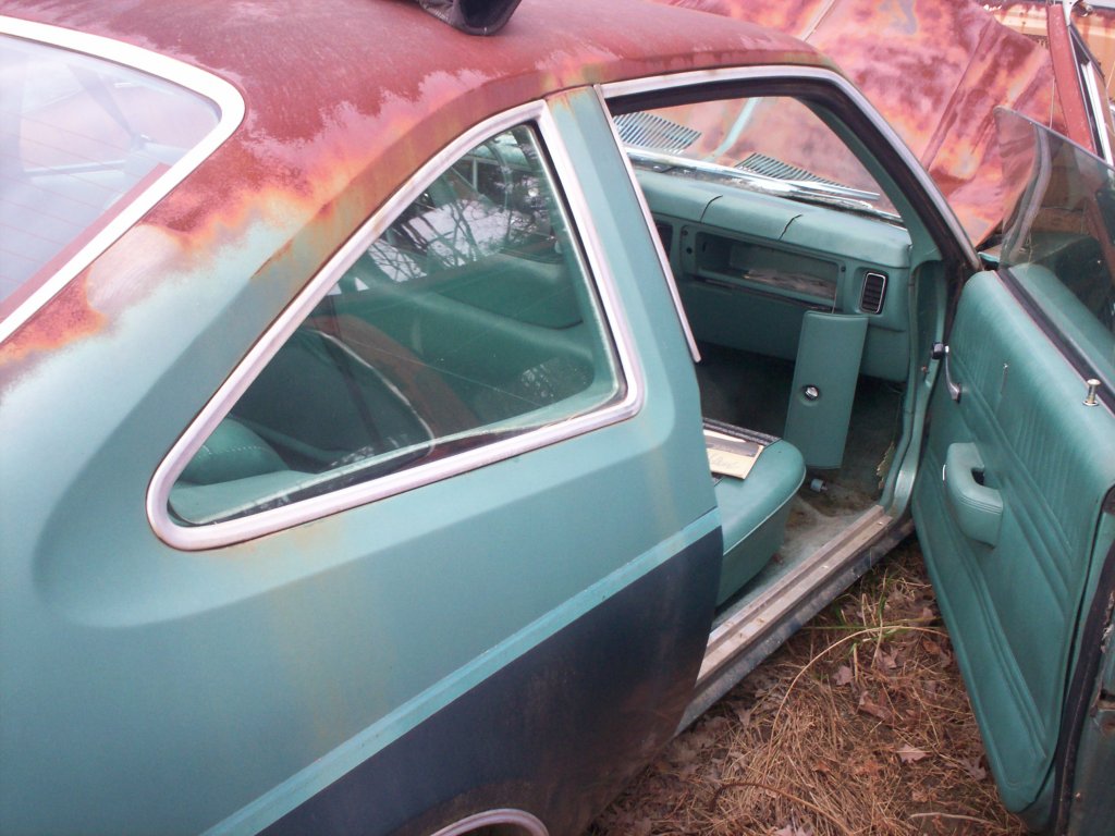 100_3952.JPG