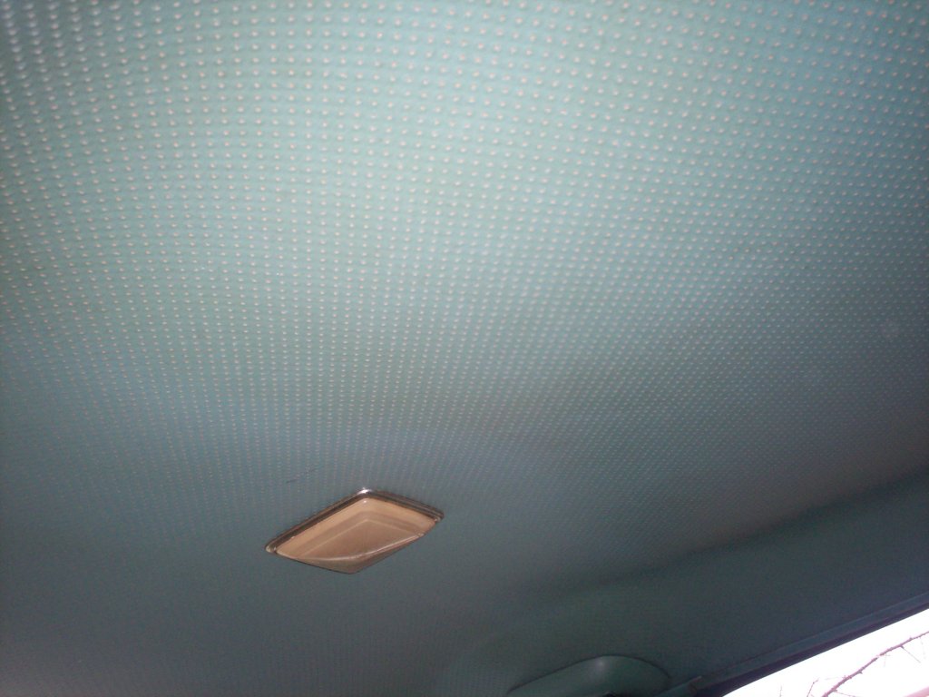 100_3954.JPG