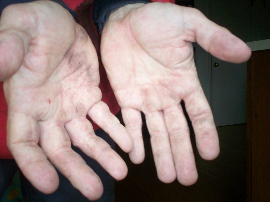 100_4020.JPG