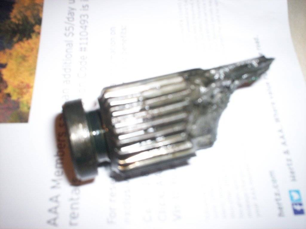 100_4135.JPG