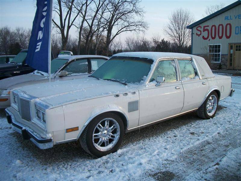 100_6315 (Medium).jpg