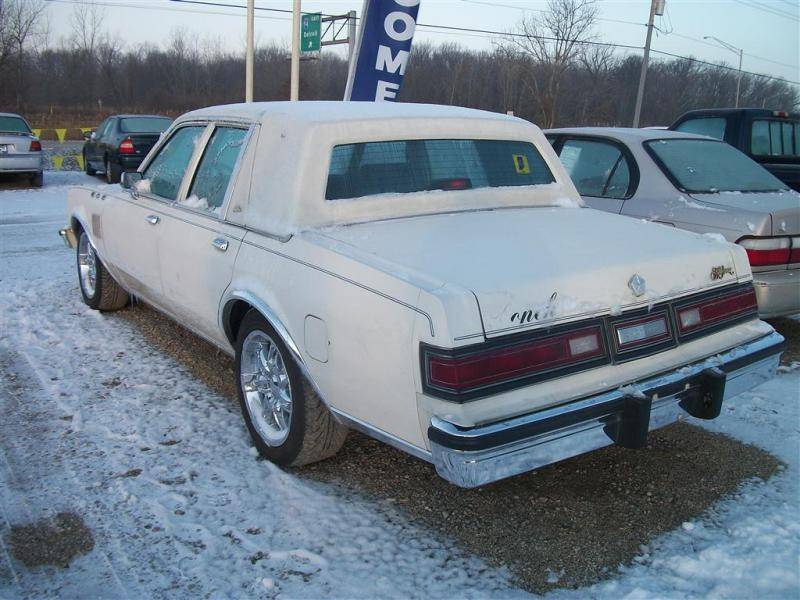 100_6316 (Medium).jpg