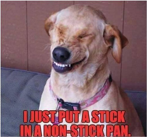 11065_to%20the%20dogs2.jpg