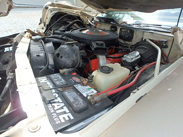 1506 300H 07.jpg