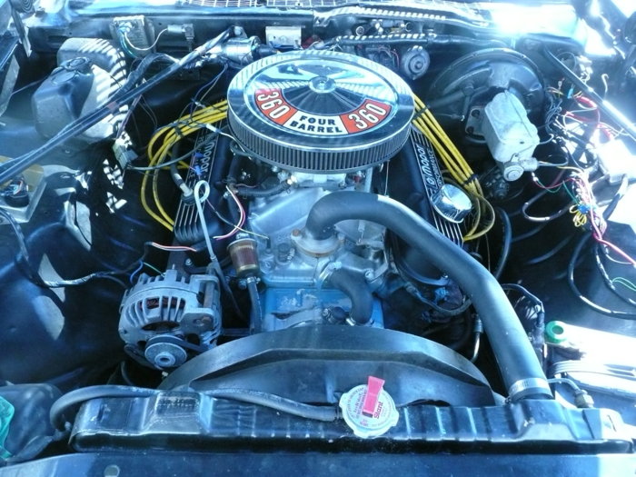 1977 Plymouth Volare Roadrunner-3.JPG