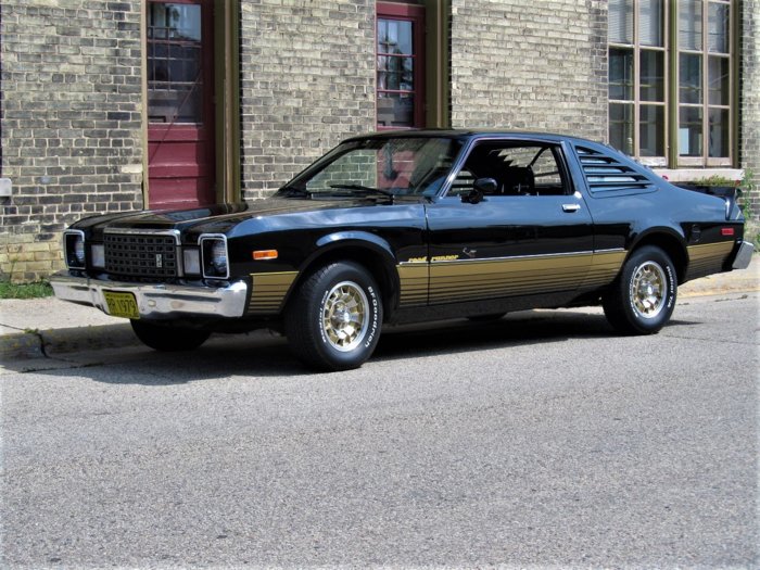 1979 Road Runner 3.JPG