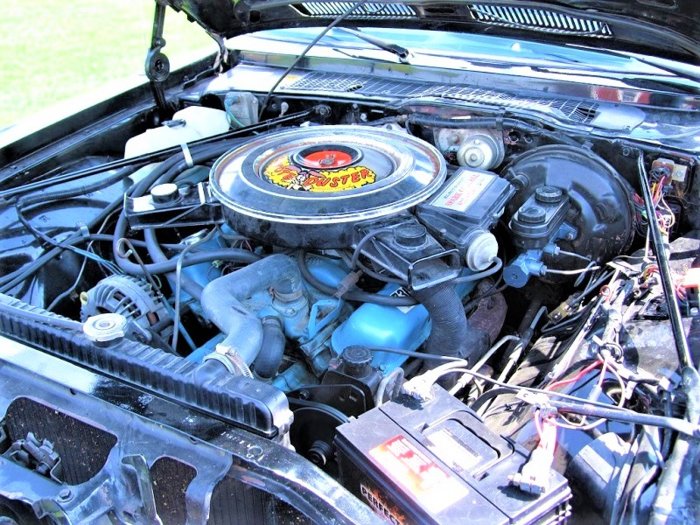 1979 Road Runner 5-7-2015 6.JPG