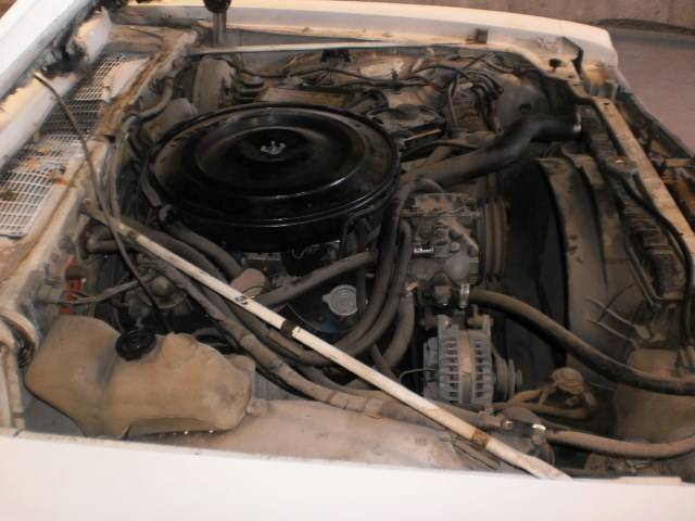 1980 Aspen 016.JPG