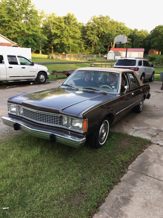 1980 volare.jpg