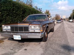1A03DB24-orig.jpg