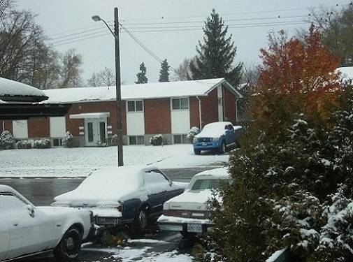 1snow16.jpg