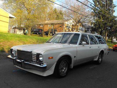 201010061970Cougar0068-S.jpg