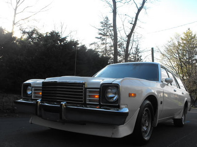 201010061970Cougar0090-S.jpg