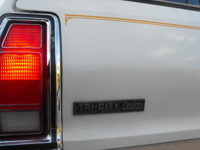 2010_10061970Cougar0018.jpg