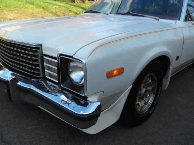 2010_10061970Cougar0019.jpg