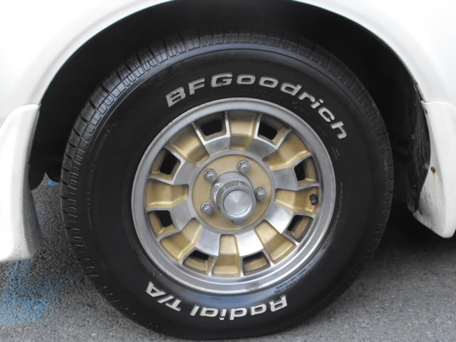 2010_10061970Cougar0067.jpg