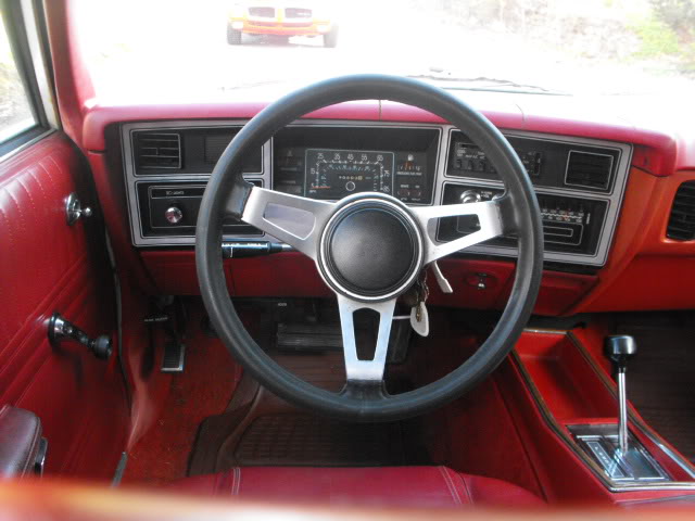 2010_10061970Cougar0096.jpg