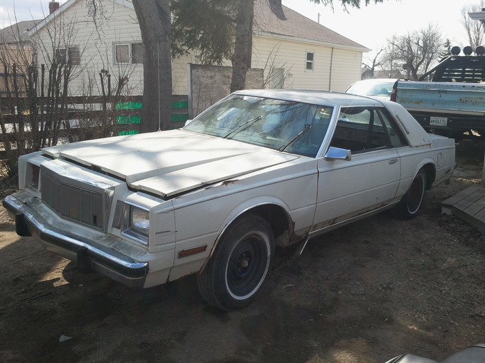 2011-04-23105620.jpg