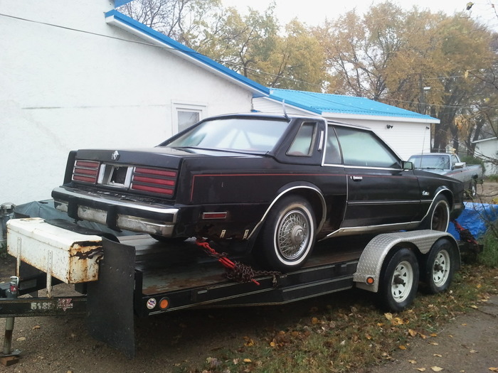 2011-10-11083649.jpg