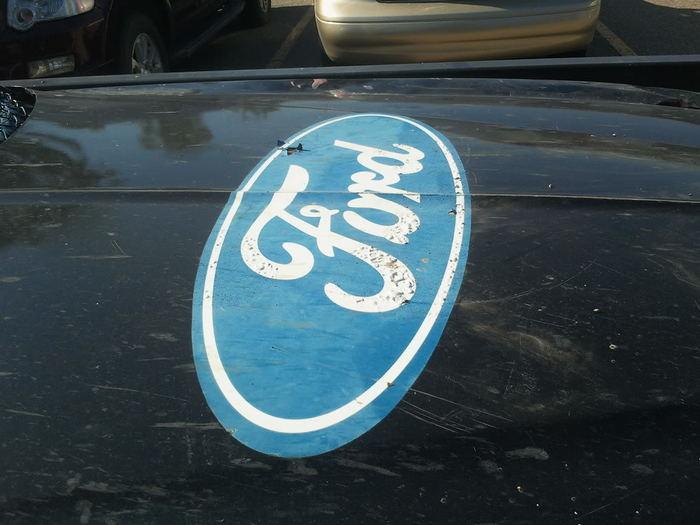 2012-07-10085515.jpg