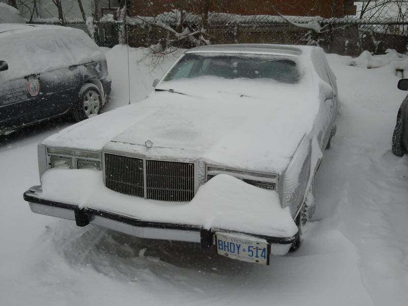 2013-02-08 13.15.55.jpg