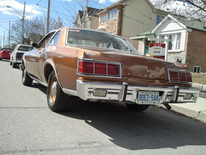 2013-03-29144327.jpg