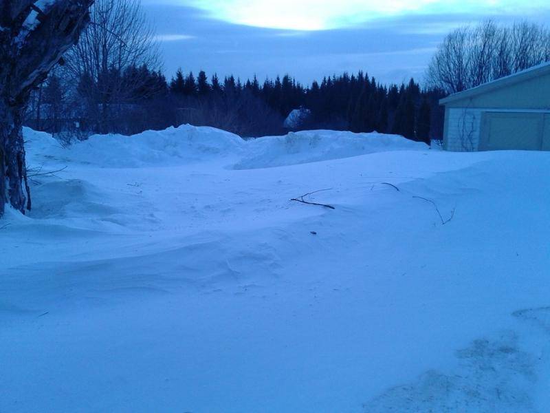 20150216_073045[1].jpg
