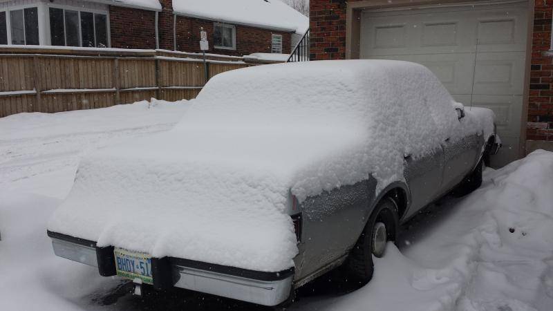20150221_155557.jpg