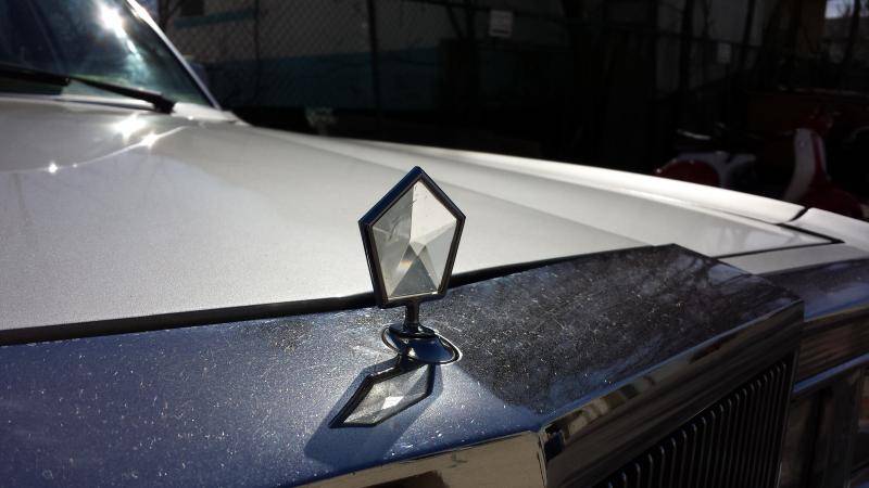 20150415_104546.jpg