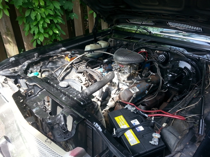 20150526_110855_zpsgaizltdn.jpg