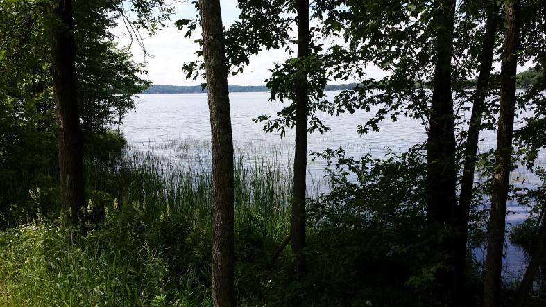 20150613_113920.jpg