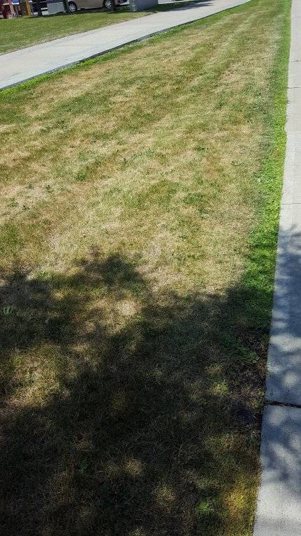 20160712_121650-1.jpg