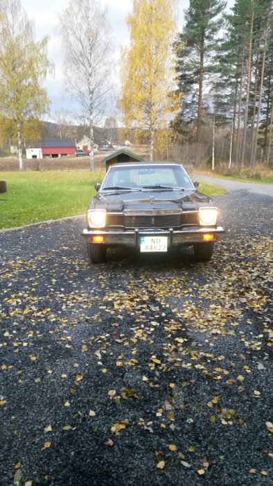 20161023_165254.jpg