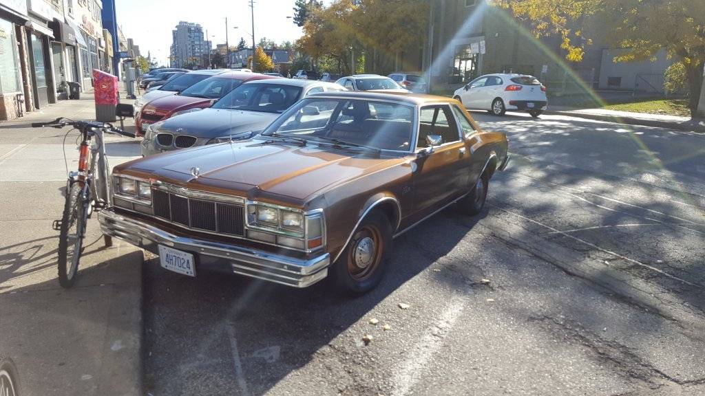 20161106_140229.jpg