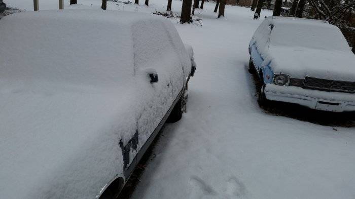 20170106_102434.jpg