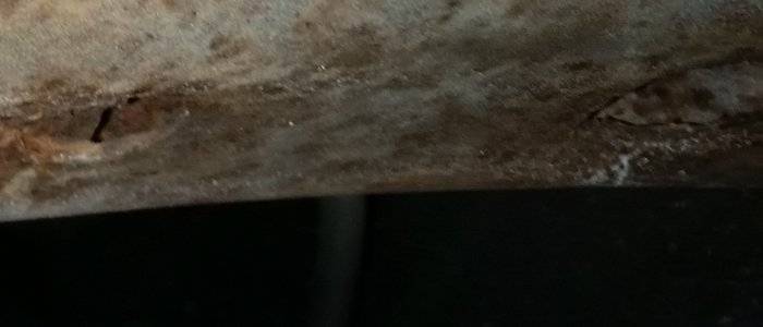 20170619_092912c.jpg