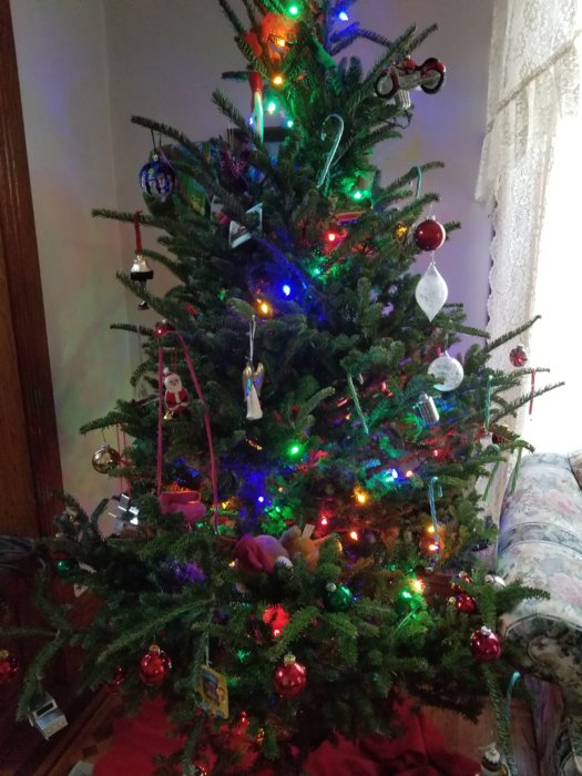 20171209_161032.jpg
