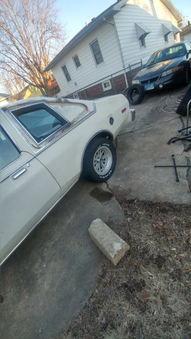 20180225_171309_HDR.jpg