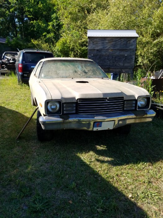 20180420_173508.jpg
