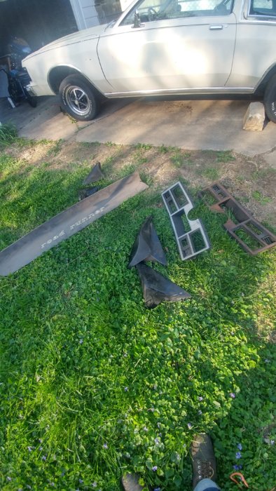 20180505_175241_HDR.jpg